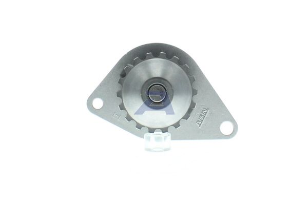 Wasserpumpe Aisin WPPG-003V