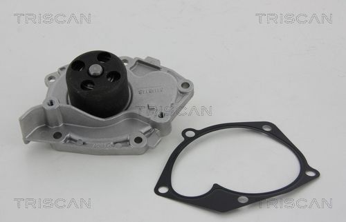 Wasserpumpe TRISCAN 8600 10038