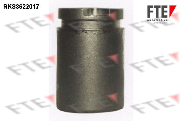 Kolben, Bremssattel FTE 9313178