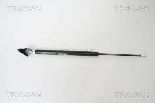 Gasfeder, Koffer-/Laderaum TRISCAN 871050239