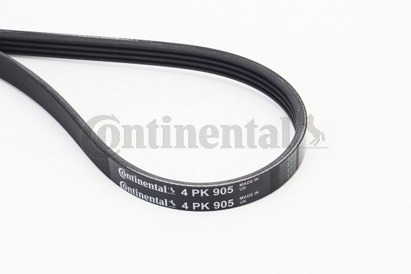 Keilrippenriemen CONTINENTAL CTAM 4PK905