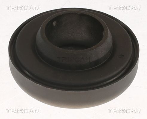Wälzlager Federbeinstützlager TRISCAN 8500 10960