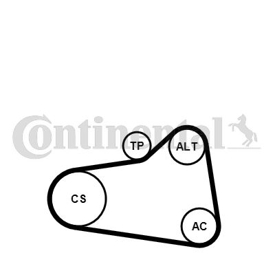 Keilrippenriemensatz CONTINENTAL CTAM 6PK905EXTRAK1
