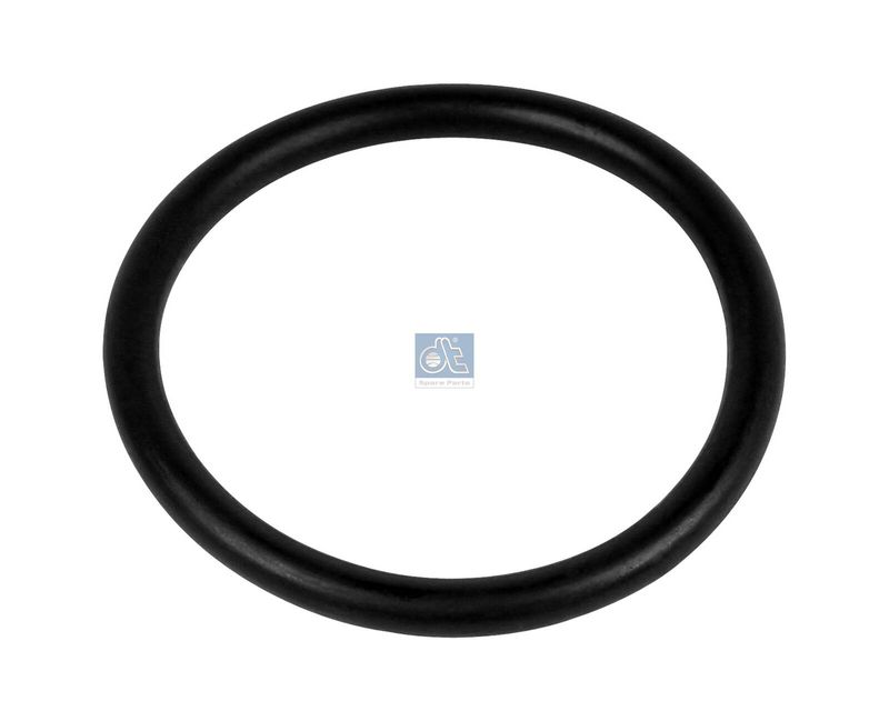 Dichtring DT Spare Parts 1.24325
