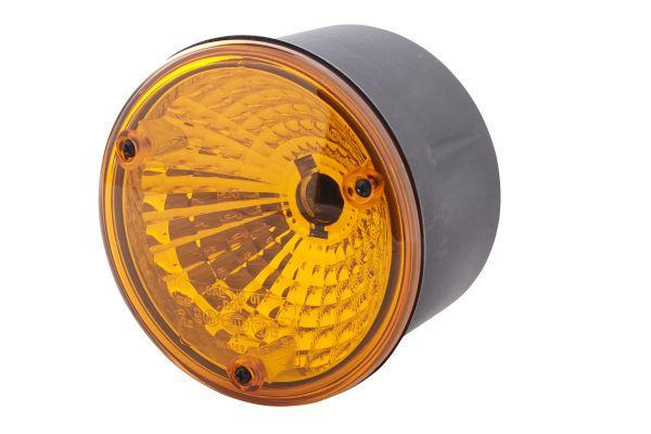 Blinkleuchte HELLA 2BA 964 169-501