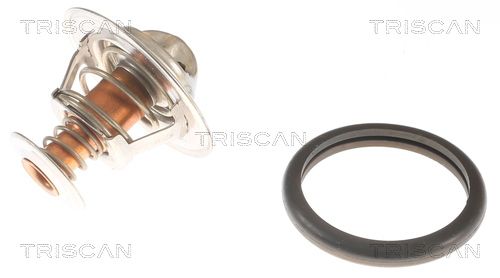 Kühlwasserthermostat TRISCAN 8620 10691