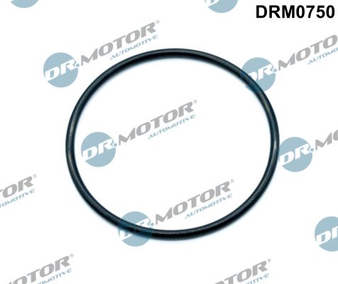 Dichtung, Drosselklappenstutzen Dr.Motor Automotive drm0750