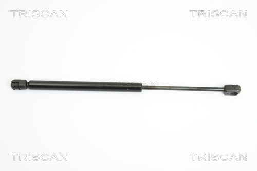 Heckklappendämpfer TRISCAN 8710 15231