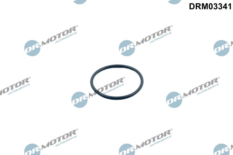 Dichtung Thermostat Dr.Motor Automotive DRM03341