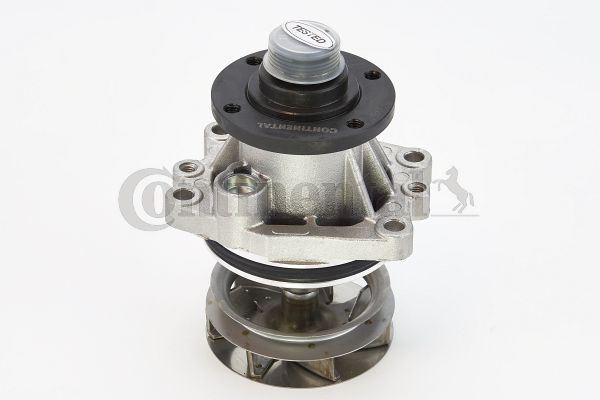Wasserpumpe, Motorkühlung CONTINENTAL CTAM WPS3000