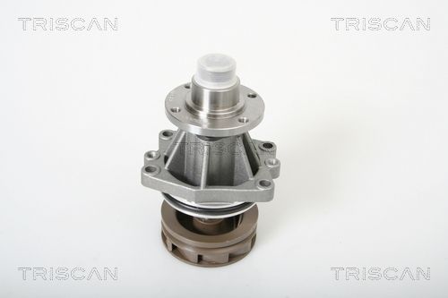 Wasserpumpe TRISCAN 8600 11007