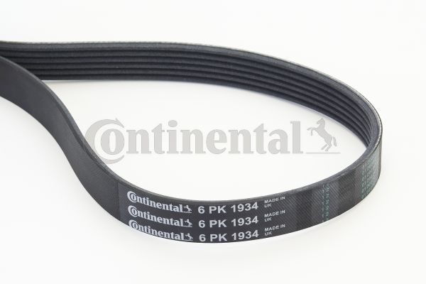 Keilrippenriemen CONTINENTAL CTAM 6PK1934