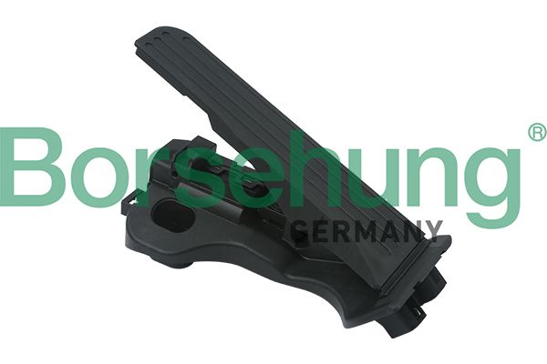 Fahrpedalsatz BORSEHUNG B18726